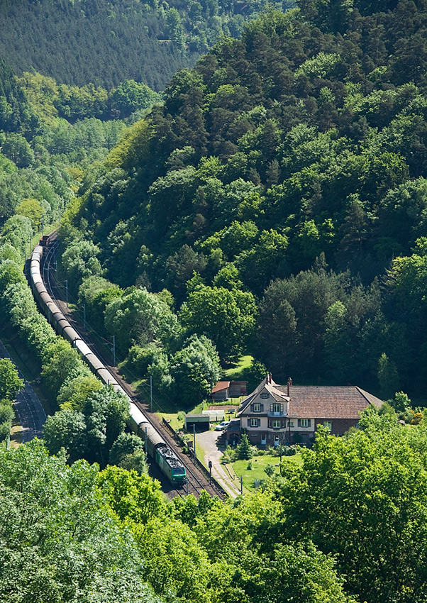 Durch ein enges Tal mit vielen Bäumen