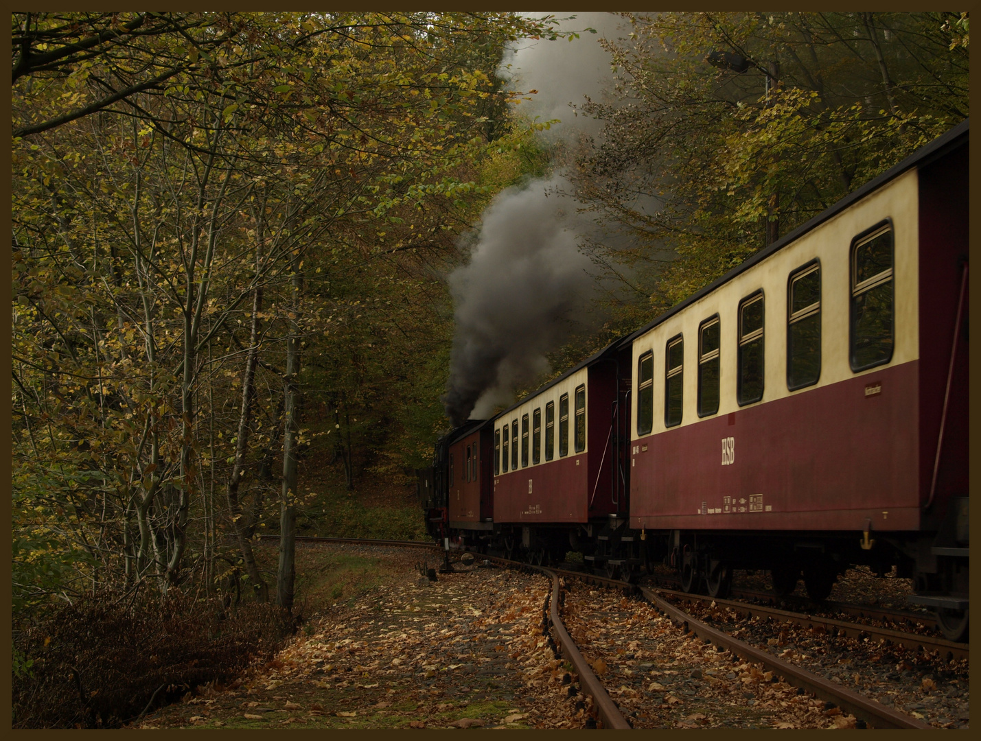 Durch einen Tunnel aus Herbstlaub...