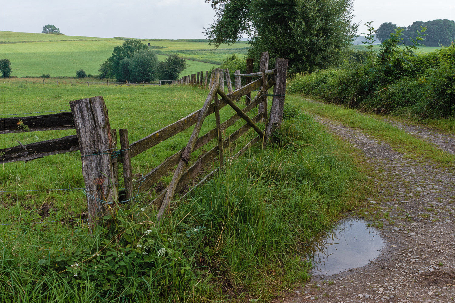 Durch Feld und Flur