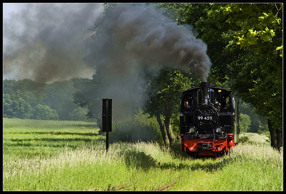 Durch Feld , Wald und Wiese