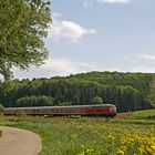 durch felder, wiesen und wälder