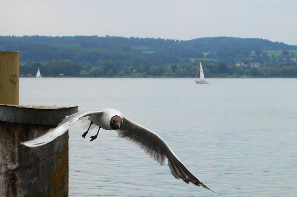 durch gestartet