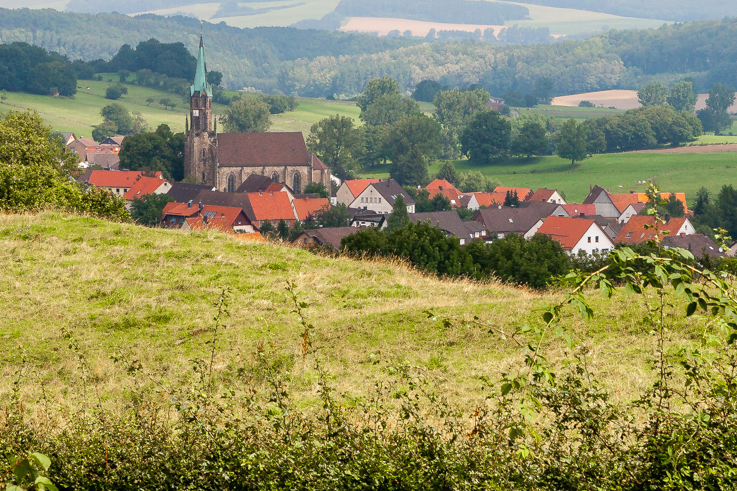 Durch Hecken auf Sandebeck geschaut,