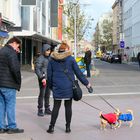 Durch ihre Hund kommen d'Leut zam