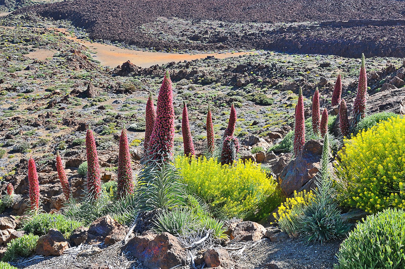 Durch Lava und Geröll auf dem Weg zum Teide