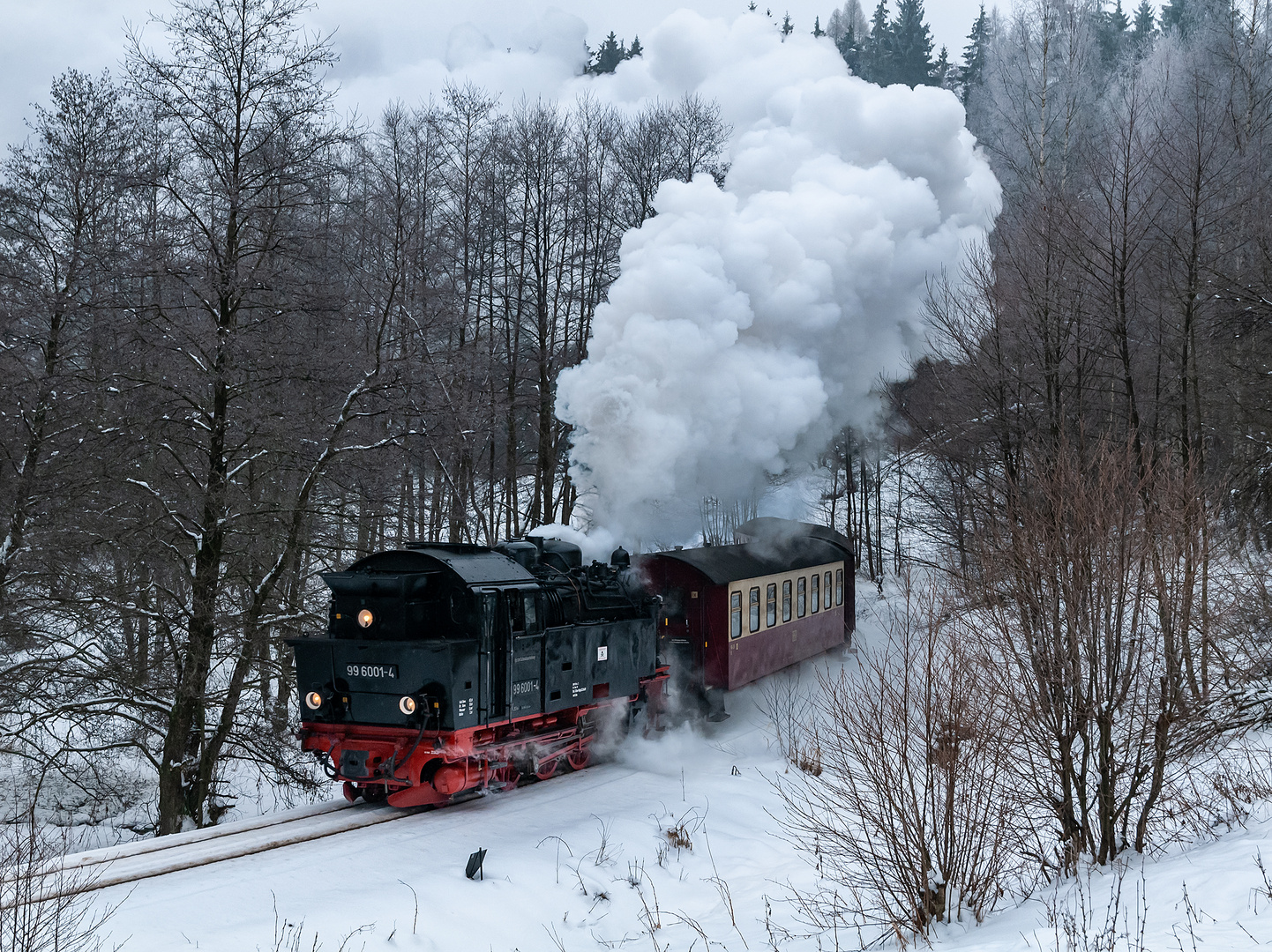 Durch menschenleere Wälder