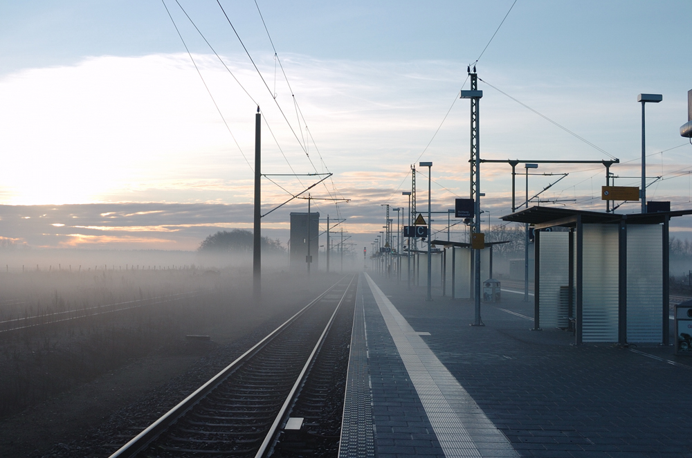 Durch Nebel nach Berlin(Züssow)