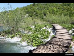 Durch Plitvice