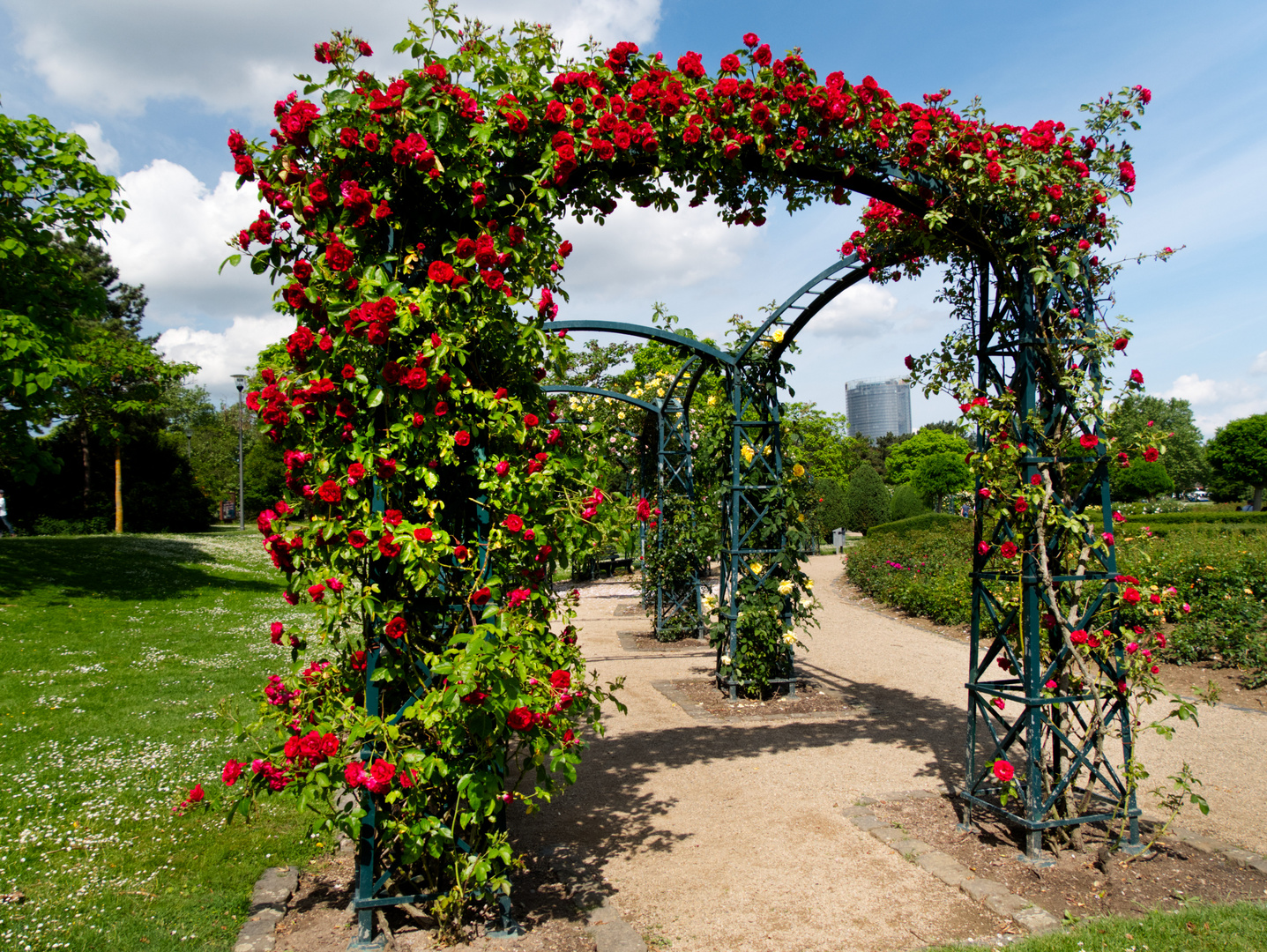 Durch Rosenranken zum Posttower