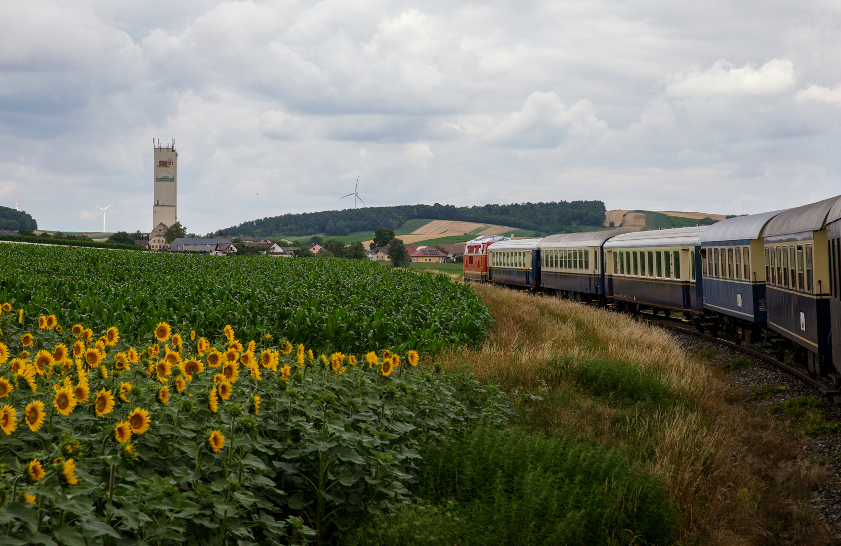 Durch Sonnenblumen, Kukuruz und Erdäpfelfelder