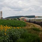 Durch Sonnenblumen, Kukuruz und Erdäpfelfelder