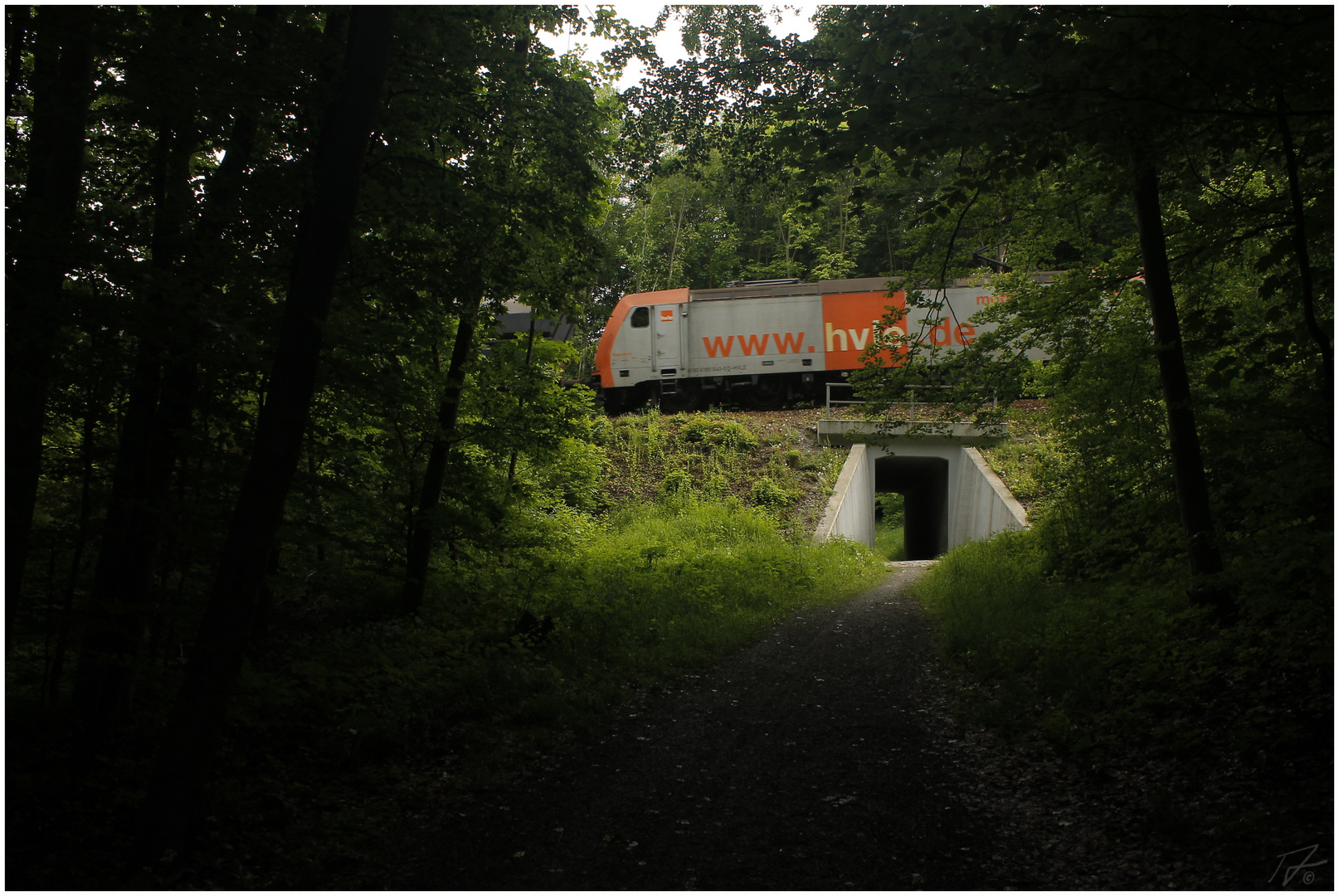 Durch tiefen dunklen Wald...