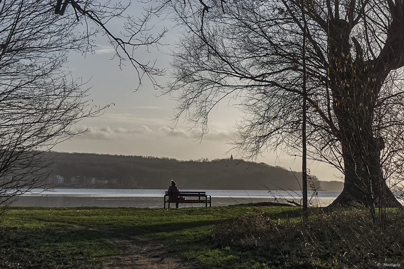 Durch- und Ausblick auf den Tollensesee