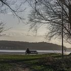 Durch- und Ausblick auf den Tollensesee