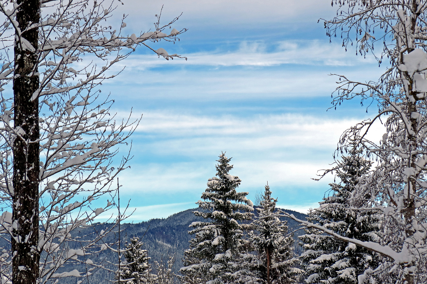 Durch- und Überblick in frisch verschneiter Landschaft