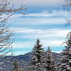 Durch- und Überblick in frisch verschneiter Landschaft