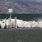 Durch und vom Sturm behütet