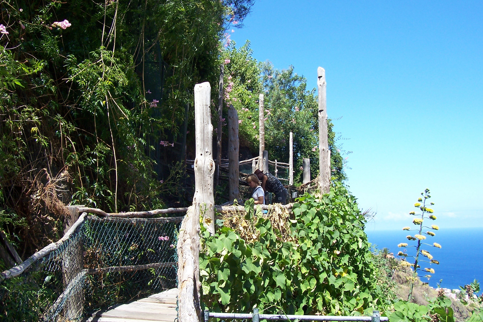 durch verwünschte Pfade in traumhafter Landschaft (La Palma)