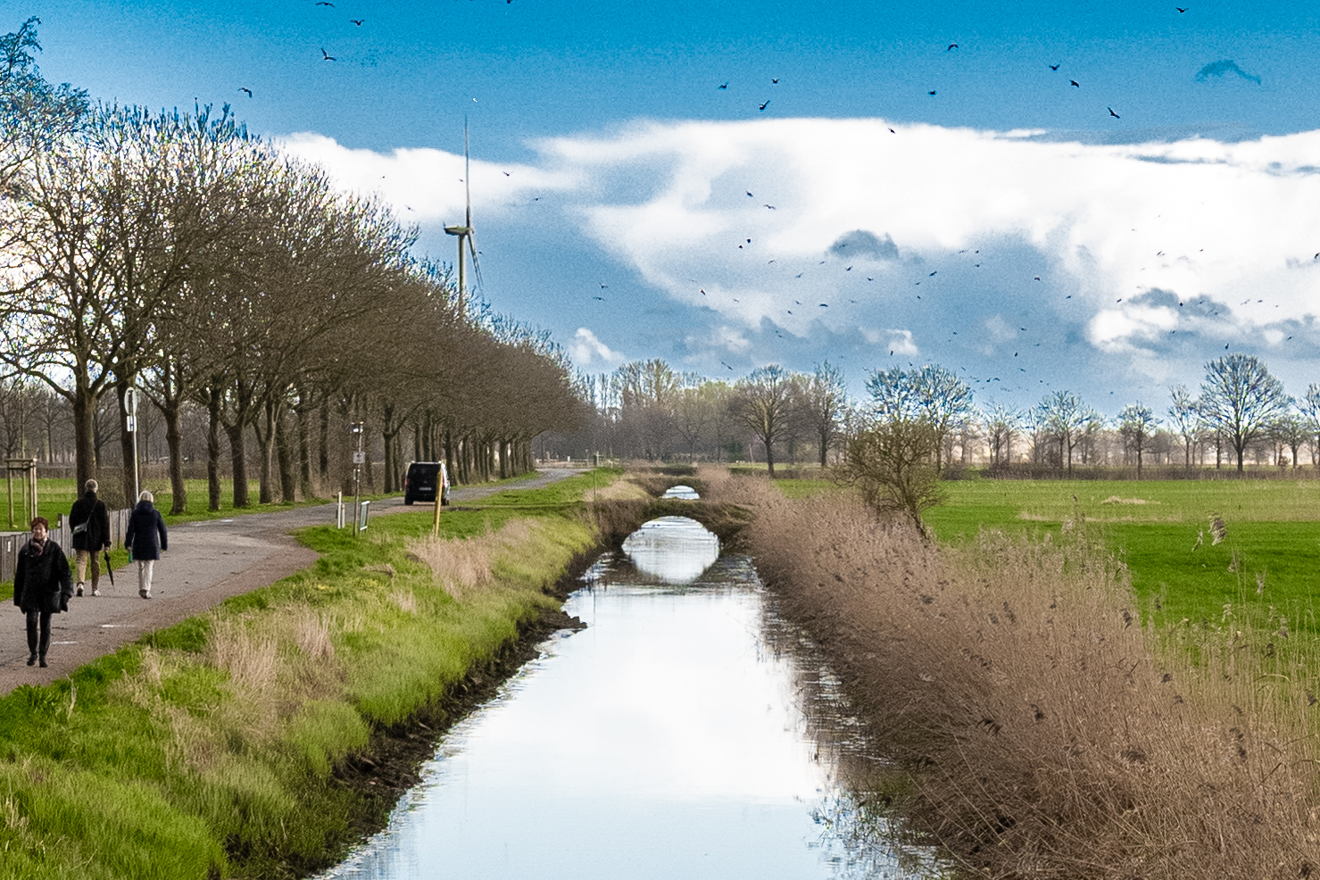 Durch Vierlande (bei HH-Bergedorf)