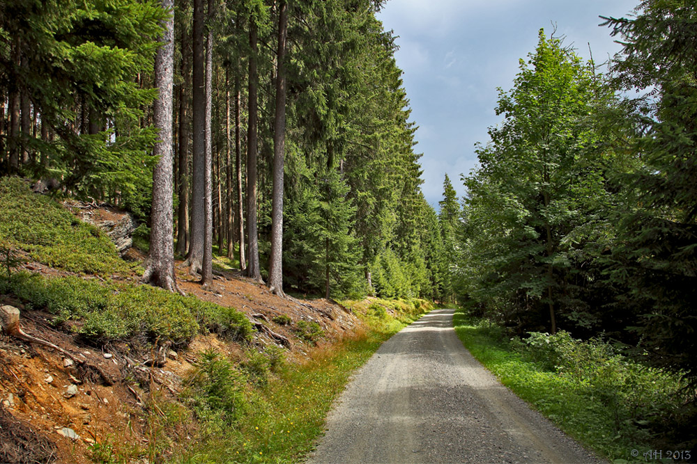 Durch Vogtlands grüne Wälder