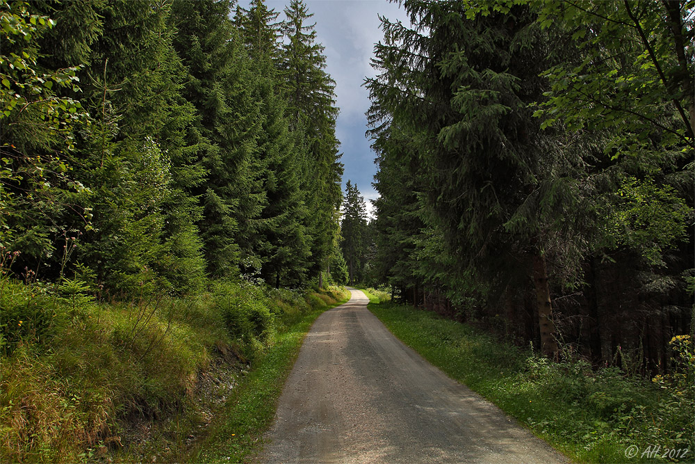 Durch Vogtlands Wälder ...