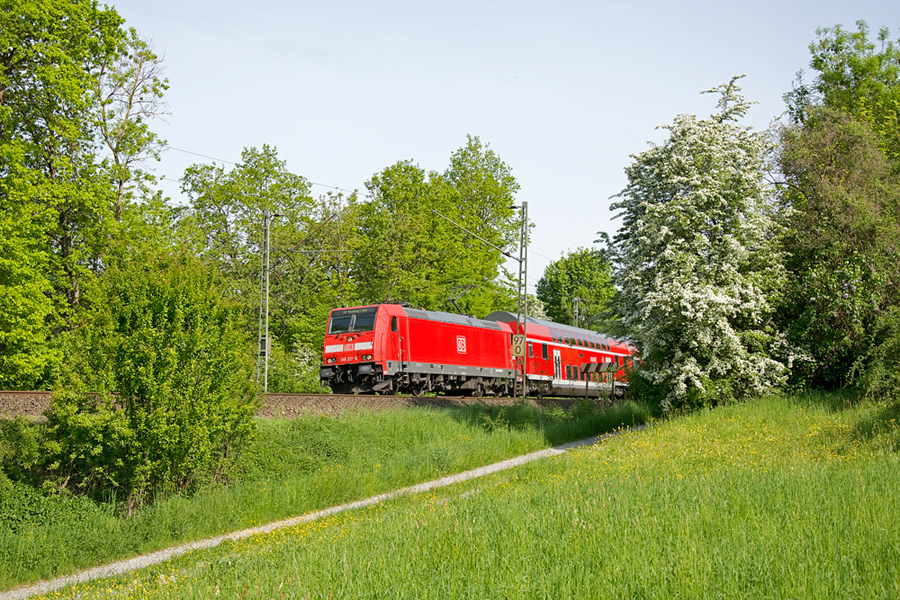 Durch Wälder und Wiesen