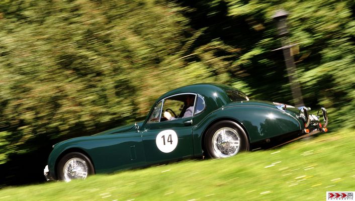 Durch Wälder & Wiesen (2)