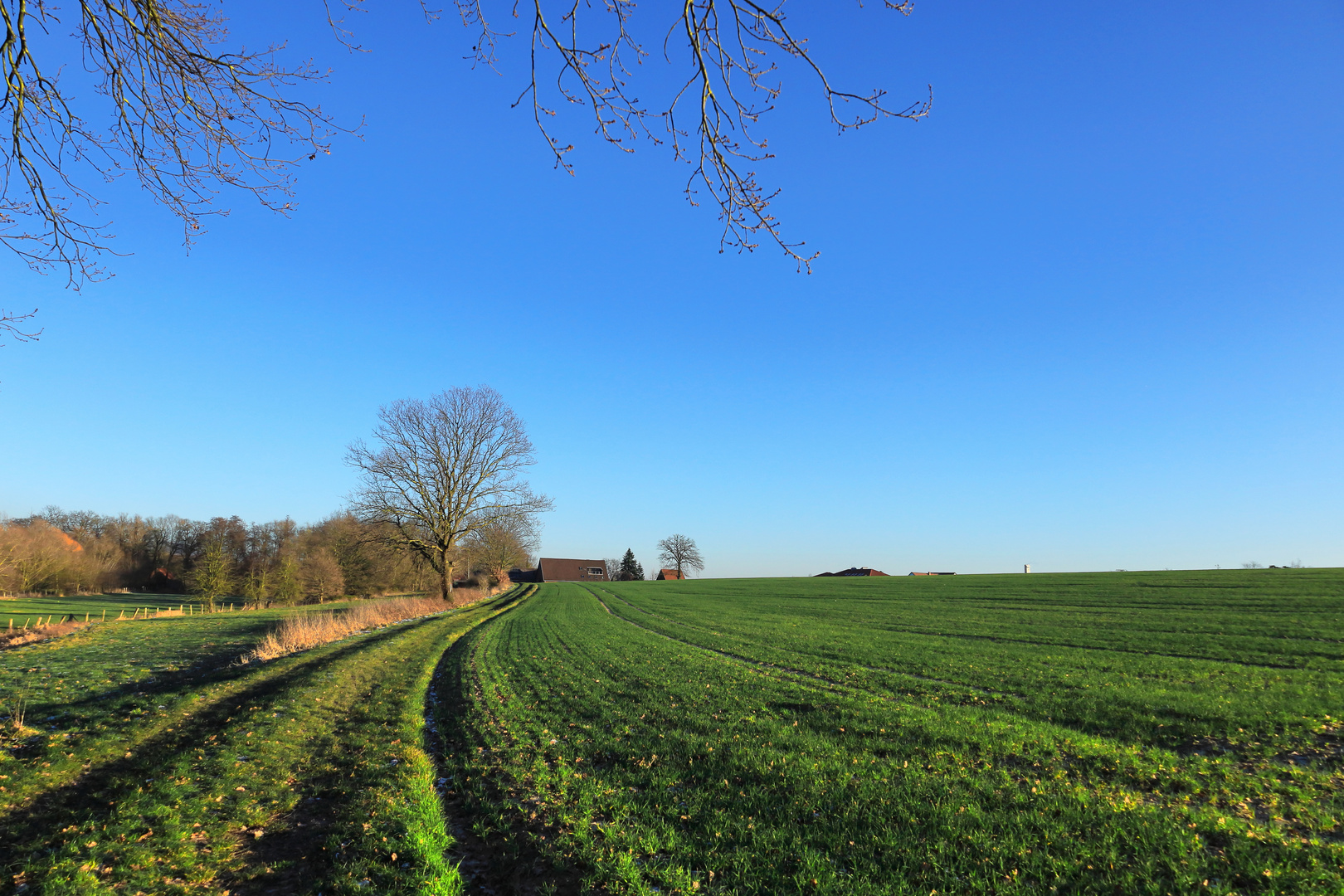 Durch Wiesen und Felder