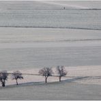 Durch Winterdunst in die Ferne... (m. Analysen-Diskurs)