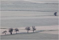 Durch Winterdunst in die Ferne... (m. Analysen-Diskurs)