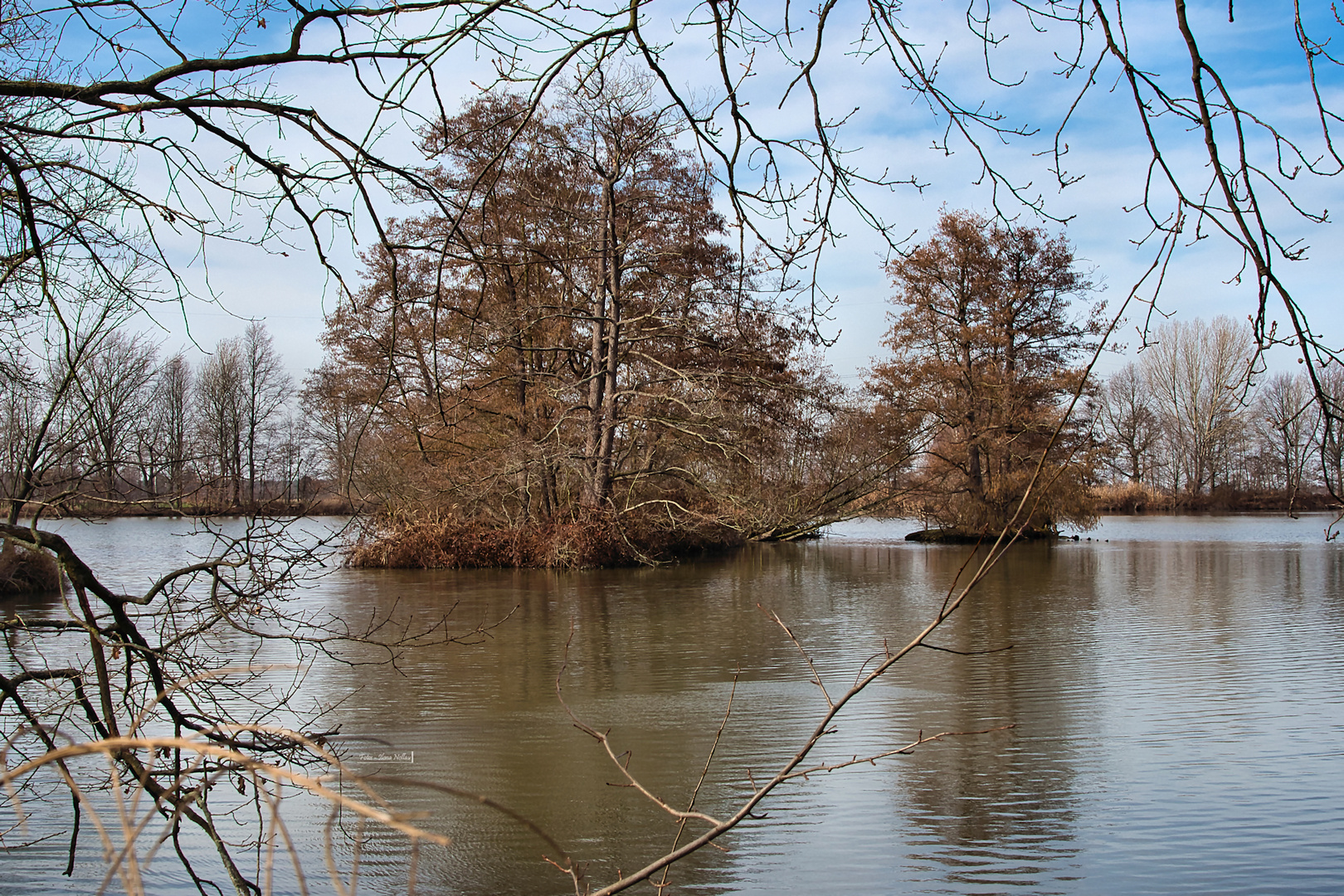 Durchblick 