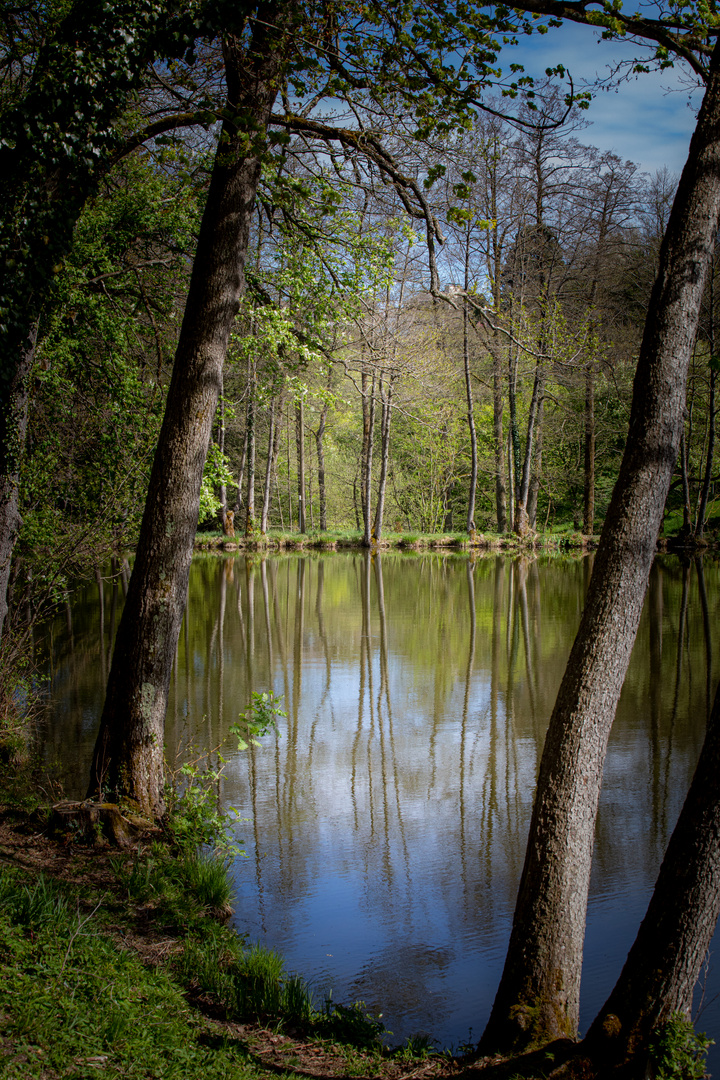 Durchblick