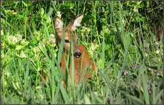 Durchblick