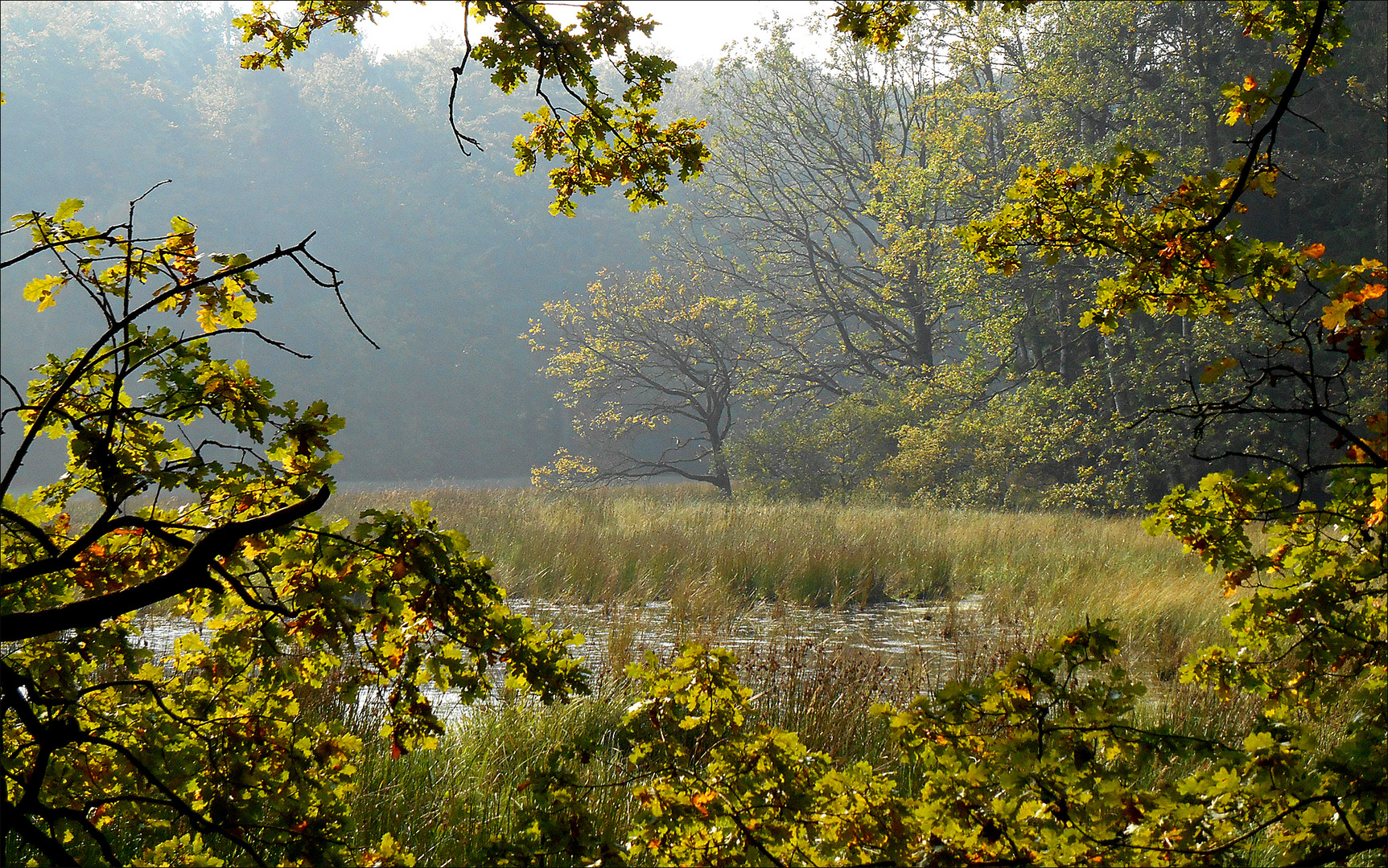 Durchblick