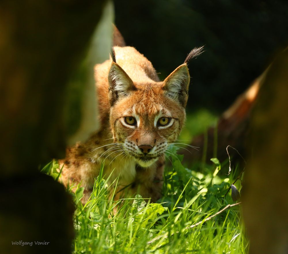 Durchblick