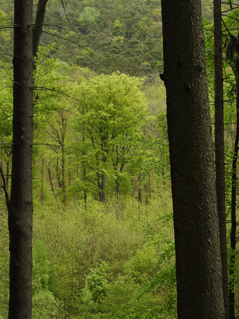 Durchblick