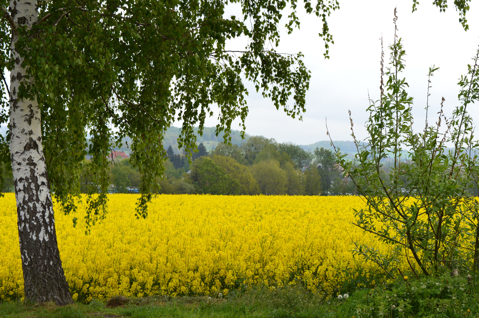 Durchblick