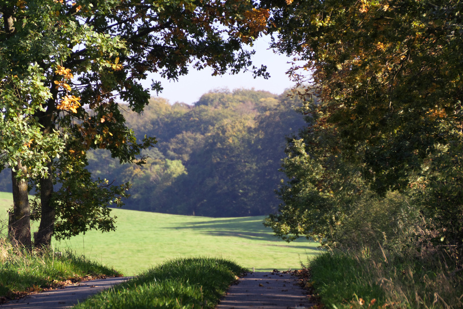 Durchblick