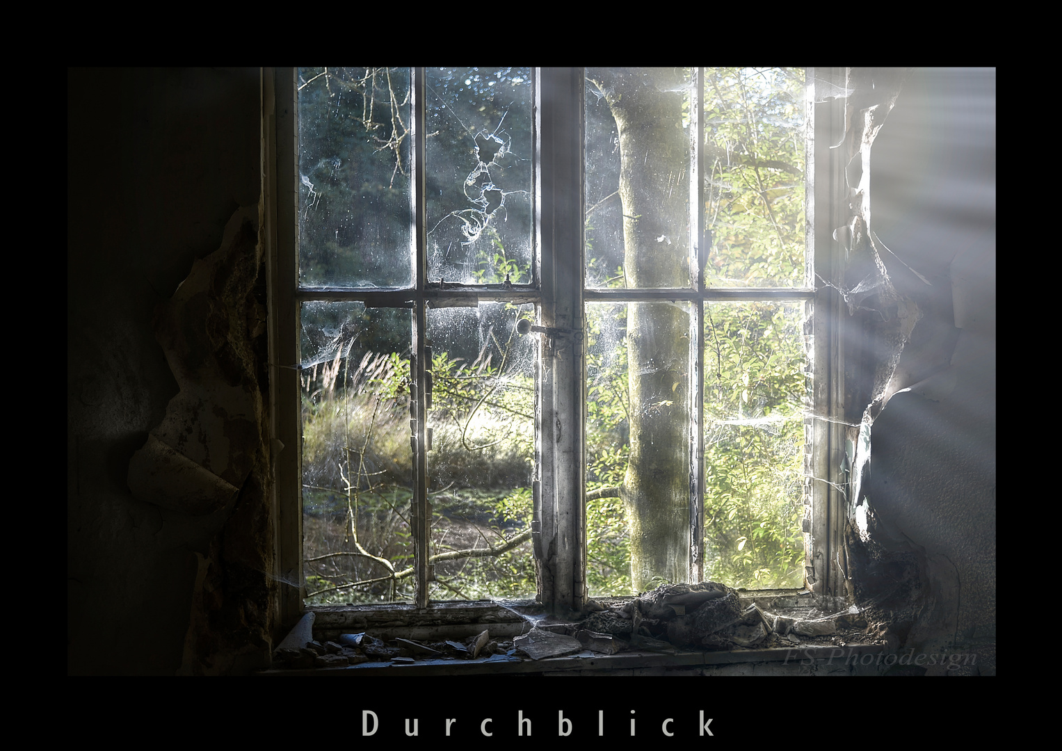 "Durchblick"