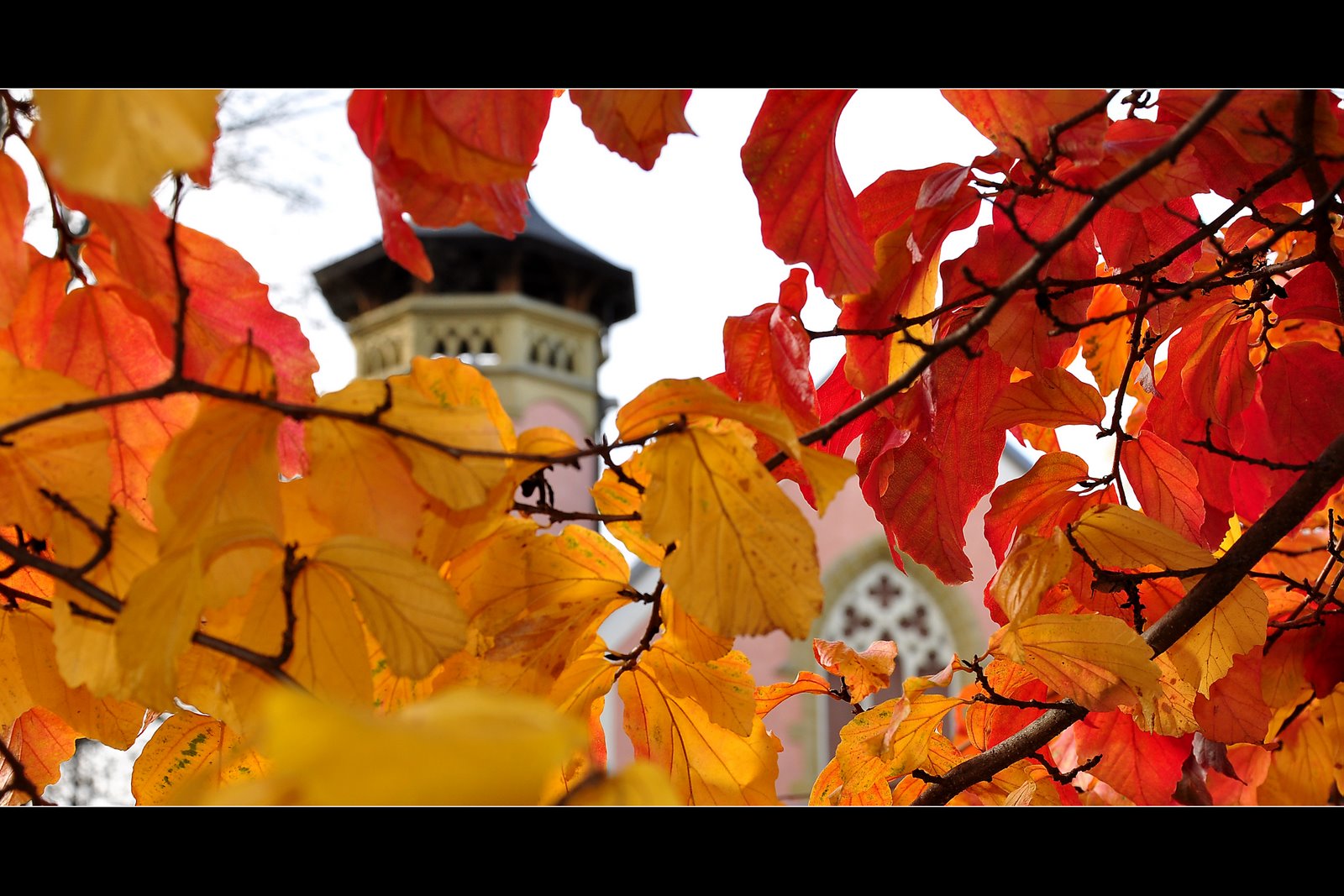 Durchblick