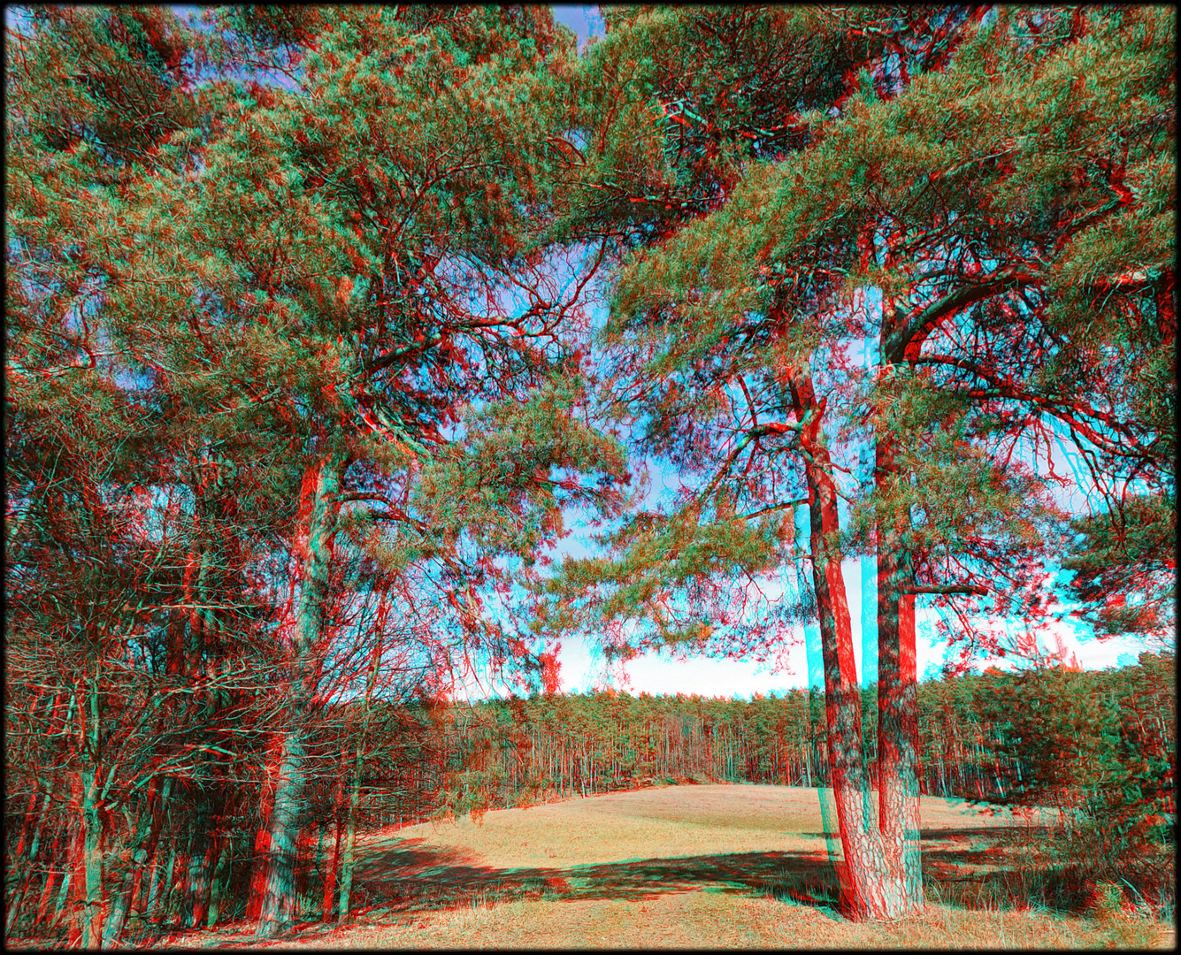 Durchblick (3D rot/cyan Anaglyphe stereo)