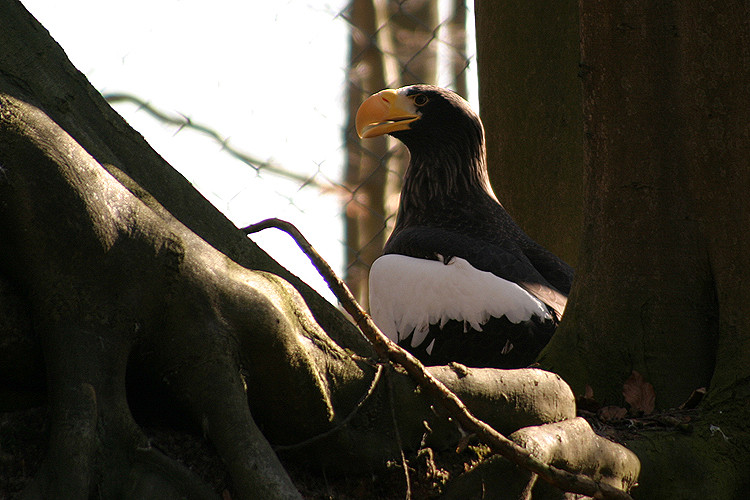 Durchblick