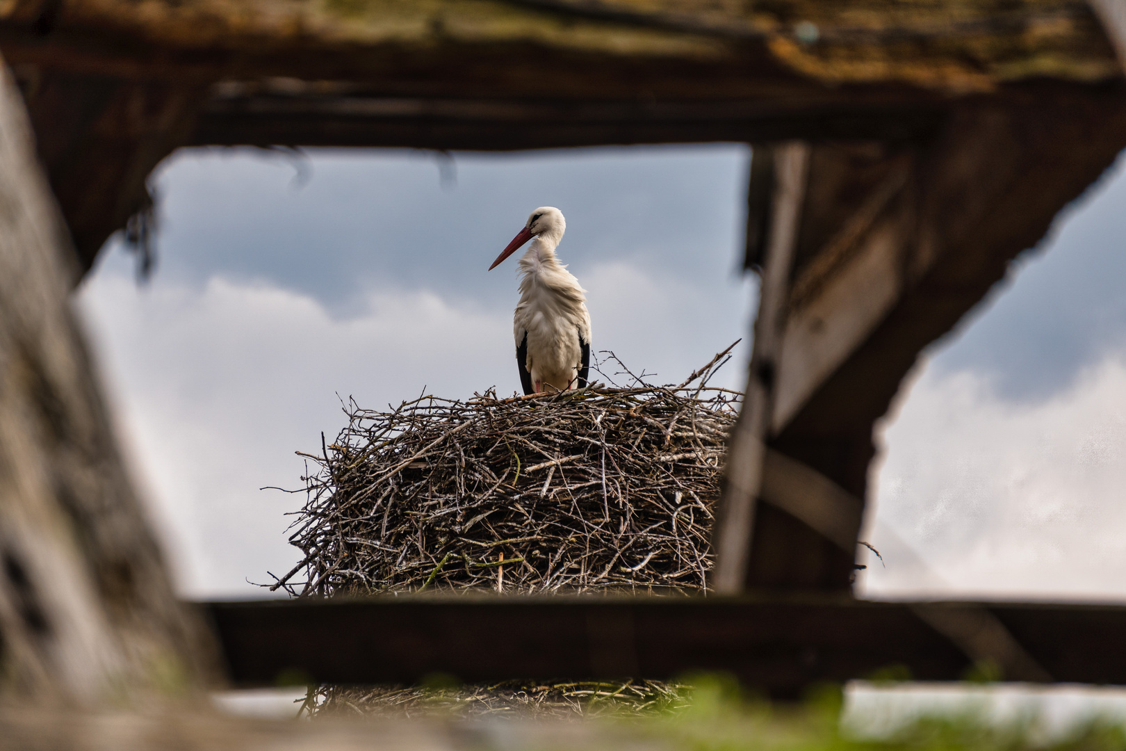 Durchblick