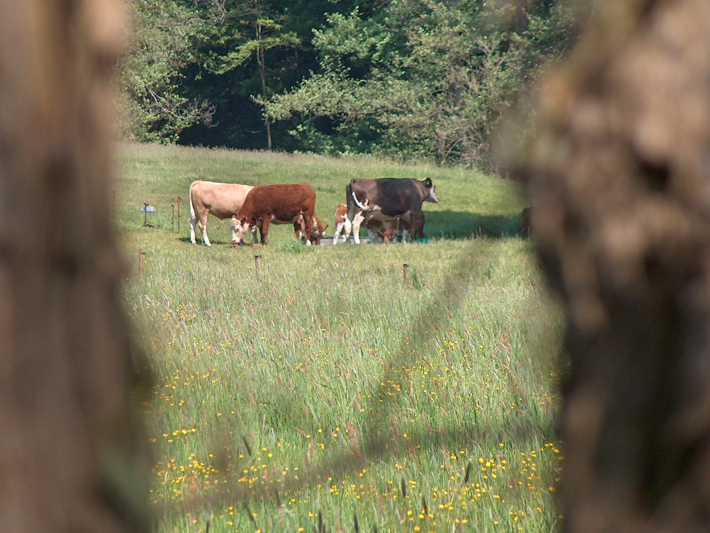 Durchblick