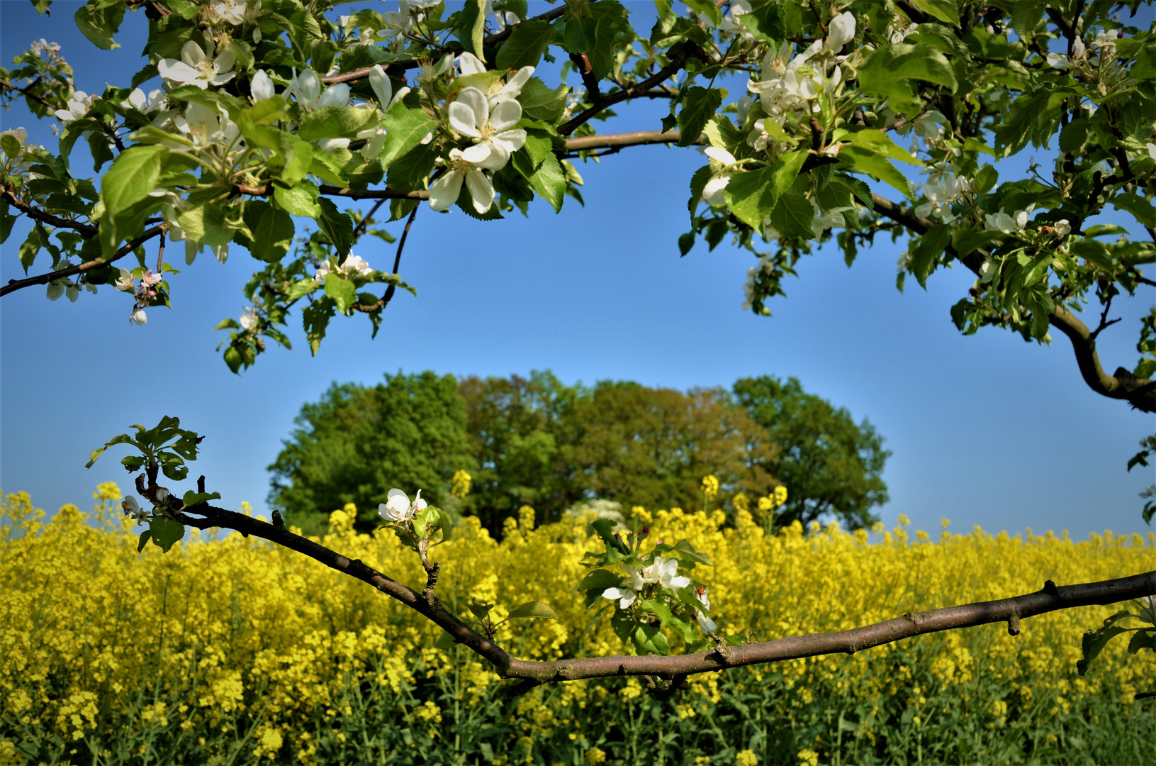 Durchblick 