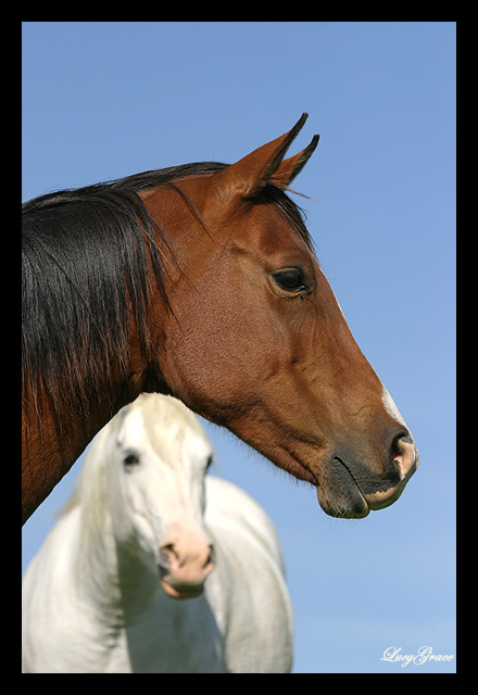 Durchblick