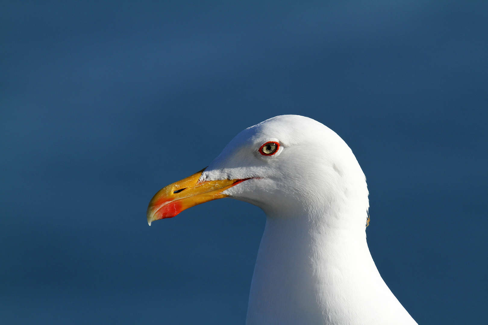 Durchblick