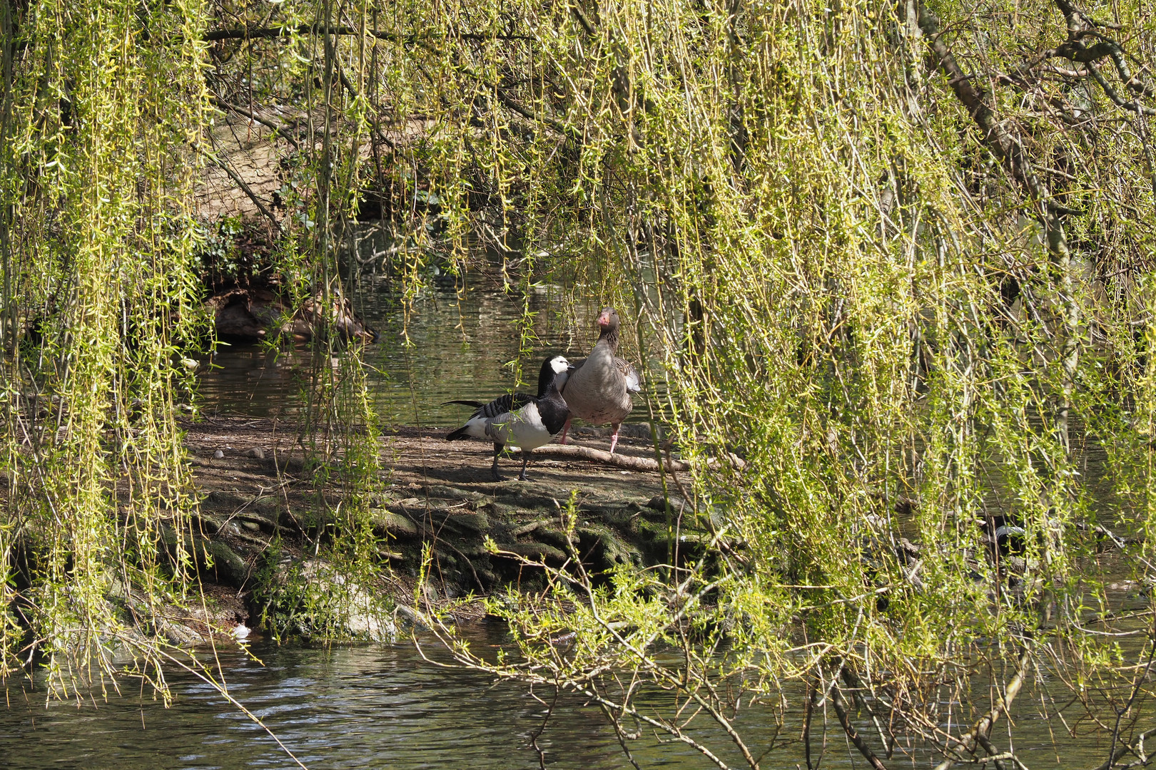 durchblick