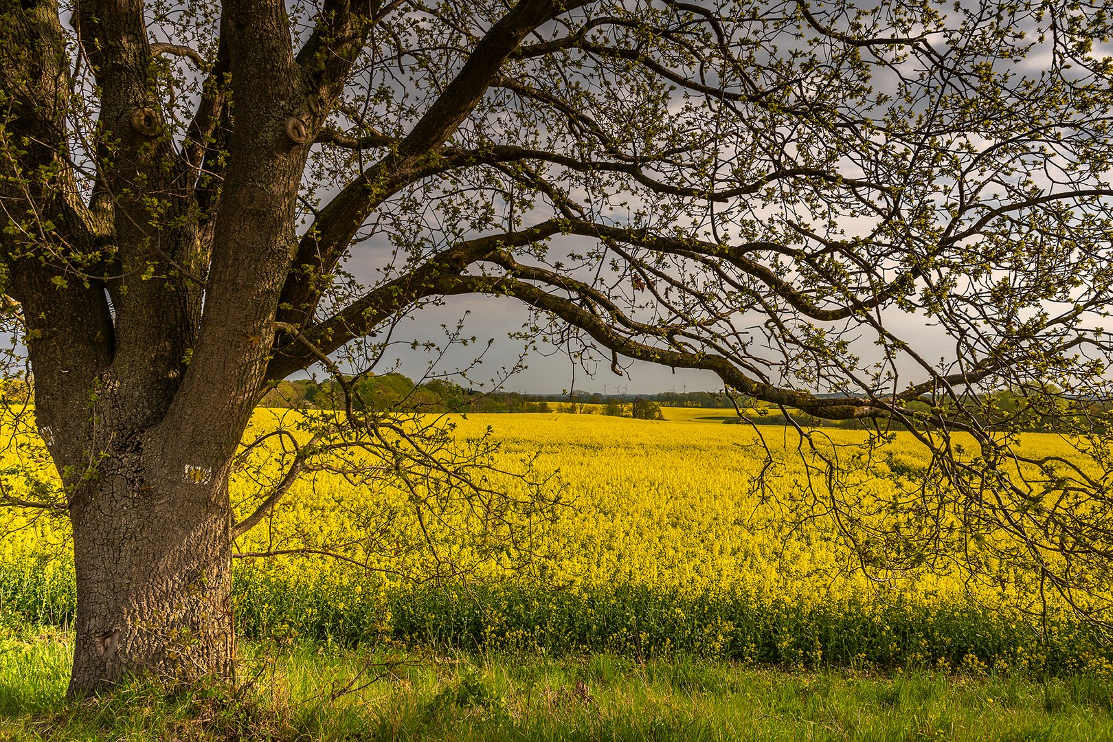 Durchblick