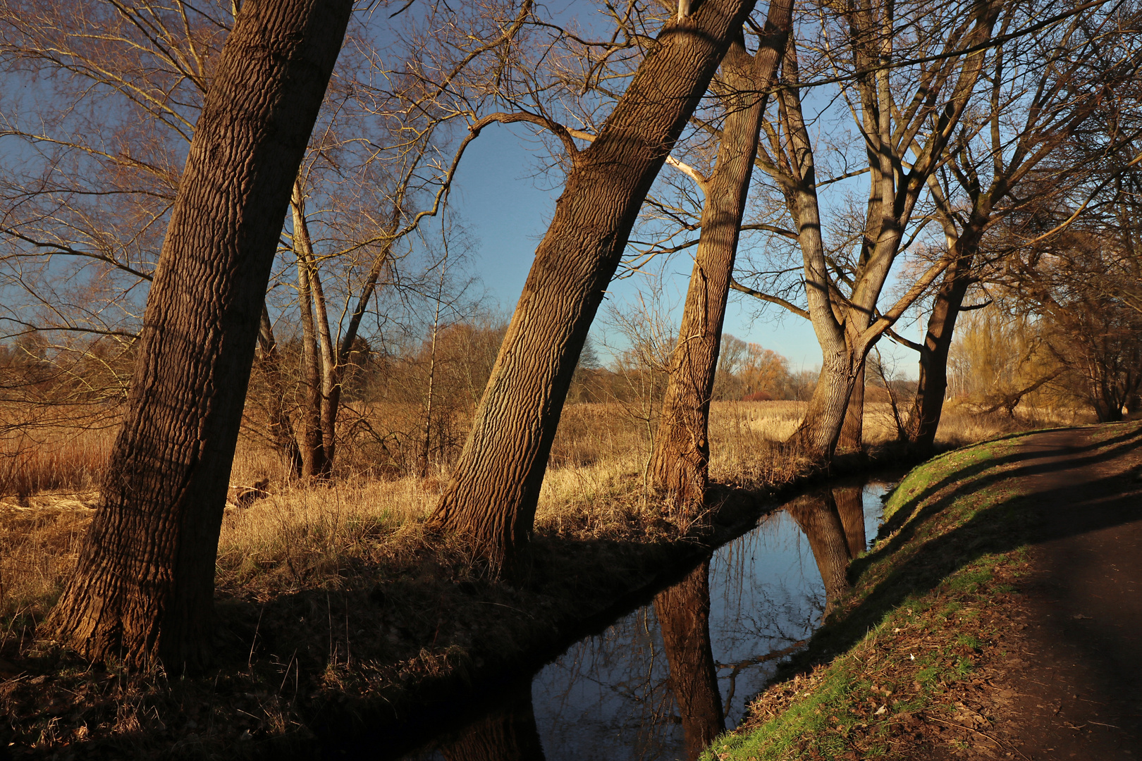 Durchblick am Bach